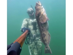 Speardiver Pacific Spearfishing Wetsuit